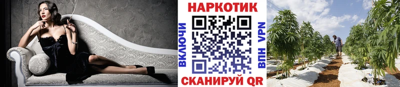 Где продают наркотики Воткинск ГАШ  Галлюциногенные грибы  APVP  Меф мяу мяу  Марихуана 