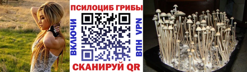 Псилоцибиновые грибы Magic Shrooms  Воткинск 